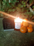 VT Candle - Winter Orange